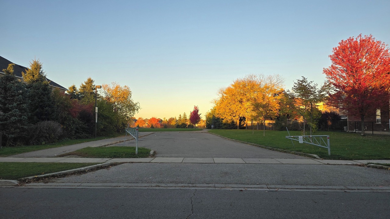 Photo of Others in Lisgar