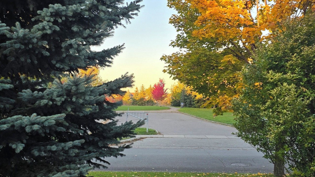 Photo of Outdoor in Lisgar