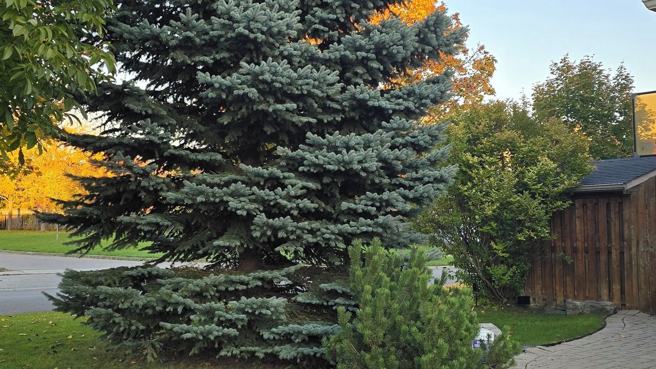 Photo of Outdoor in Lisgar