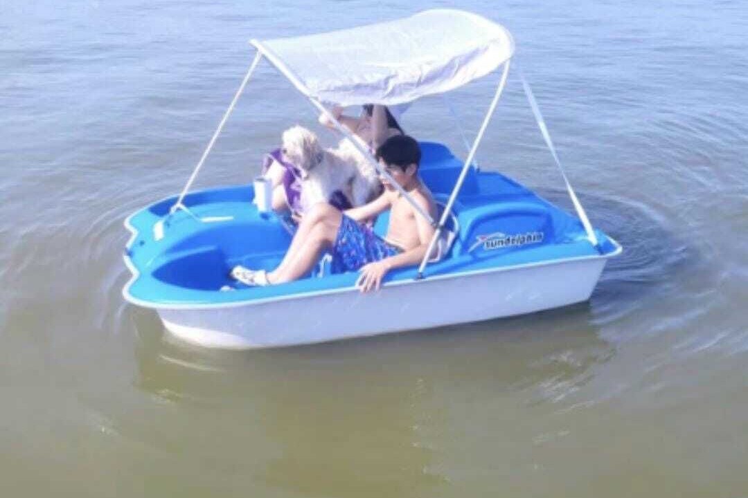 Photo of Others in Willis