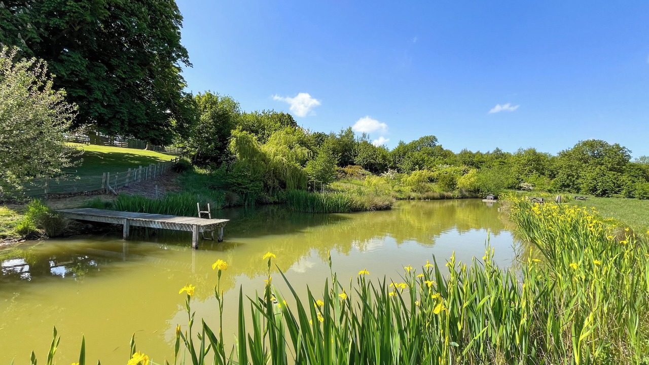 Photo of Others in Horncastle