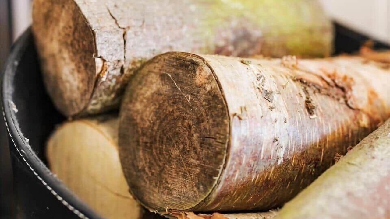 Photo of Others in Hov