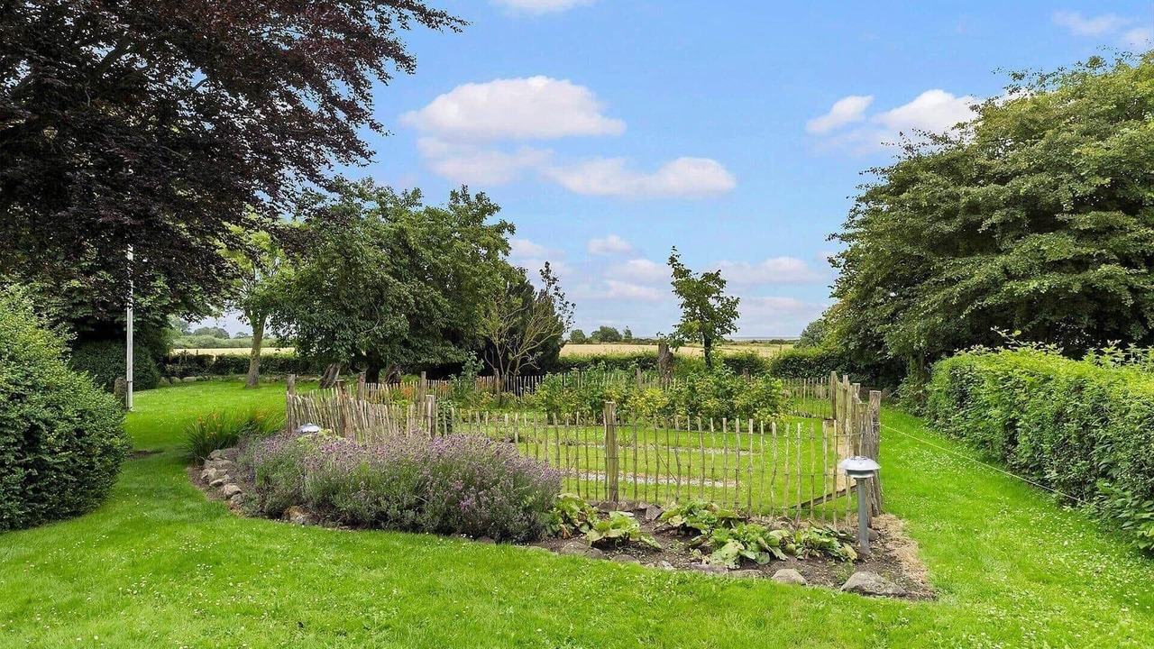 Photo of Outdoor in Tranekaer