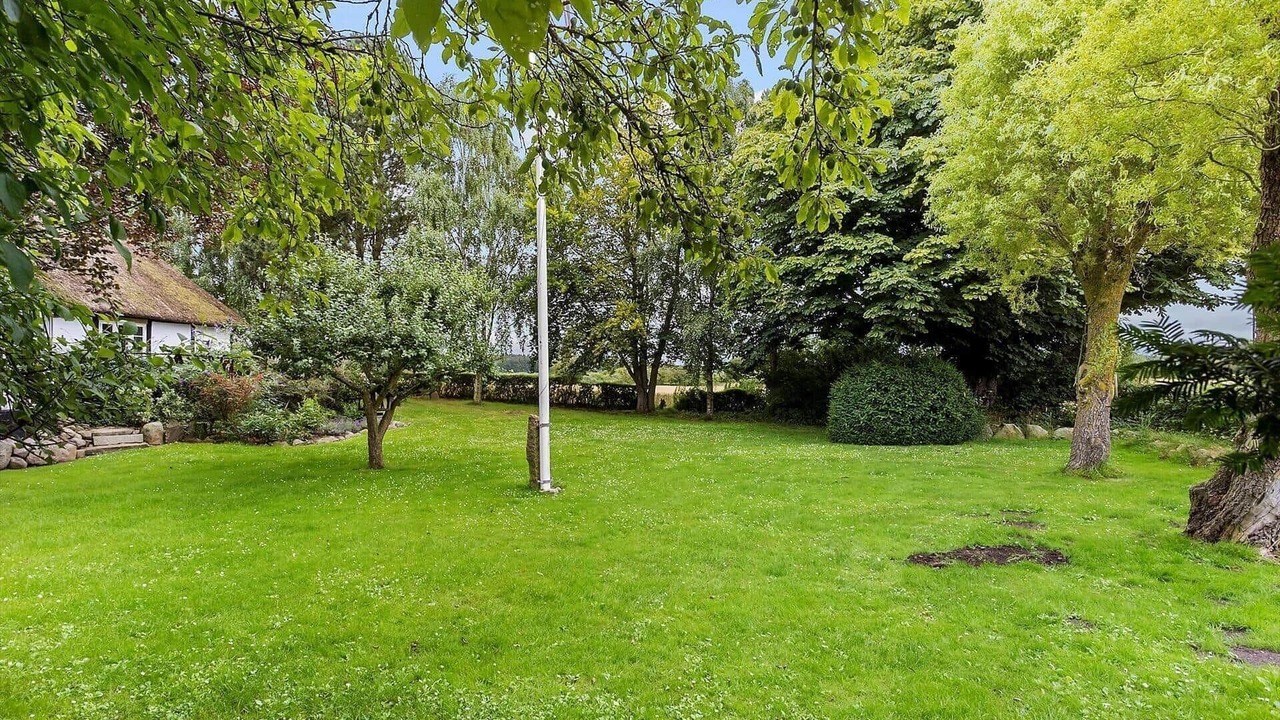 Photo of Outdoor in Tranekaer