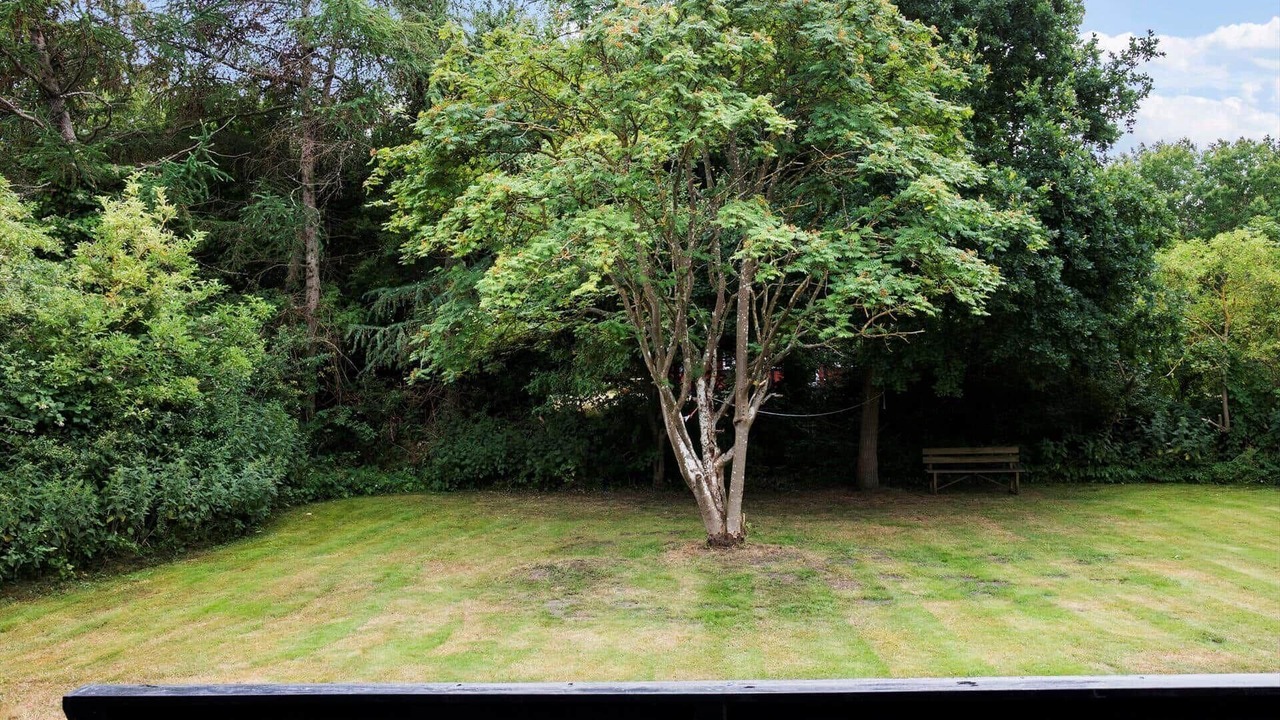 Photo of Outdoor in Hov