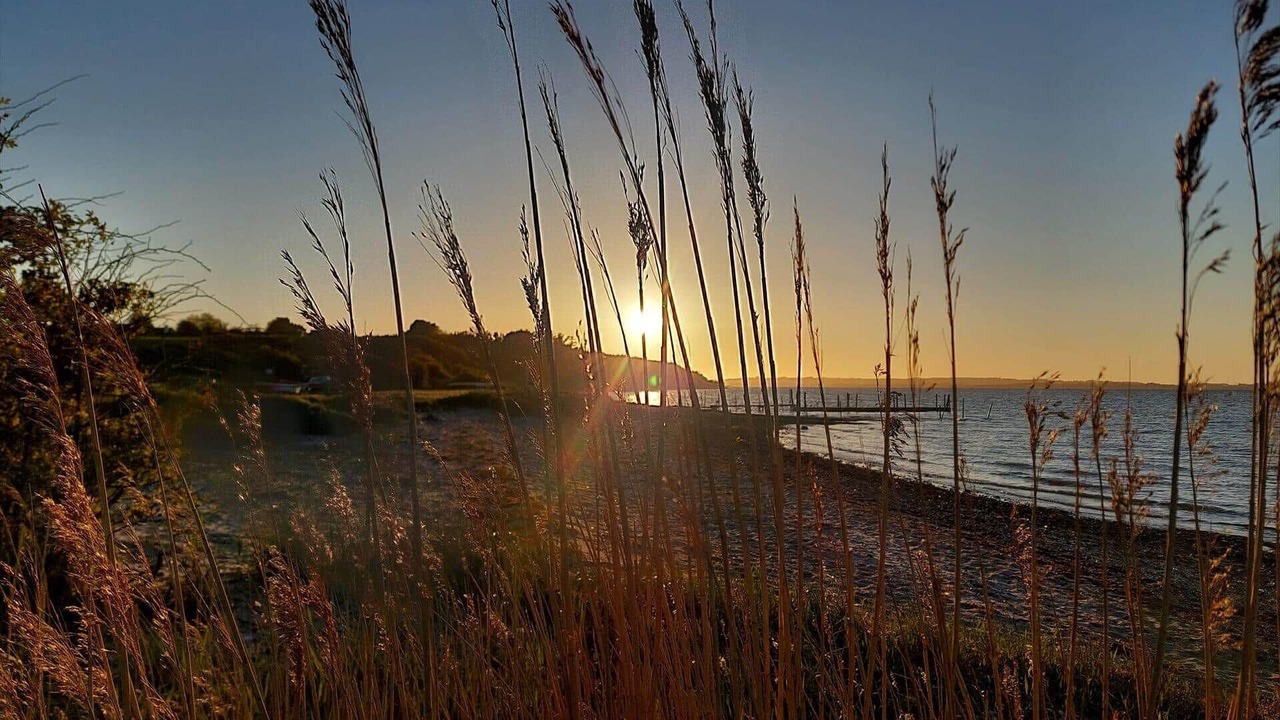 Photo of Others in Floutrup