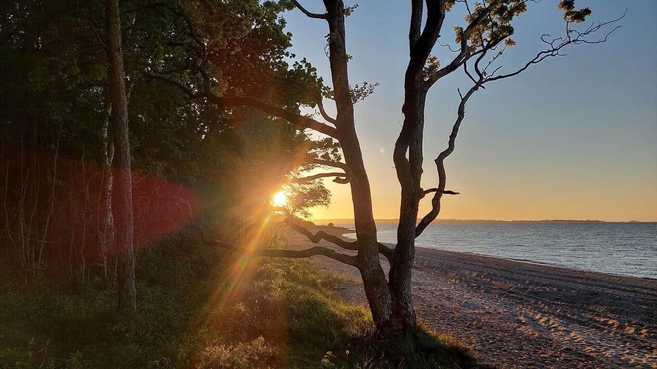 Photo of Others in Floutrup