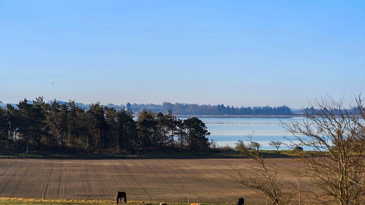 Photo of Others in Skyum