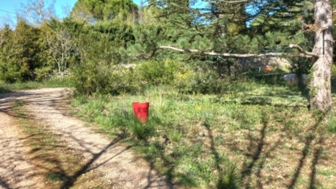 Photo of Outdoor in Saint-Maximin-la-Sainte-Baume