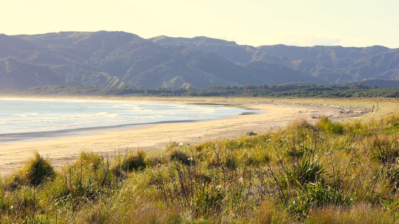 Photo of Others in Mahia