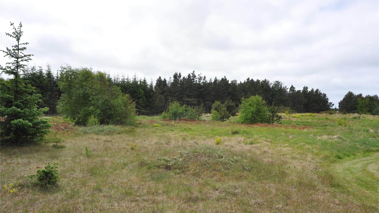 Photo of Others in Øhuse