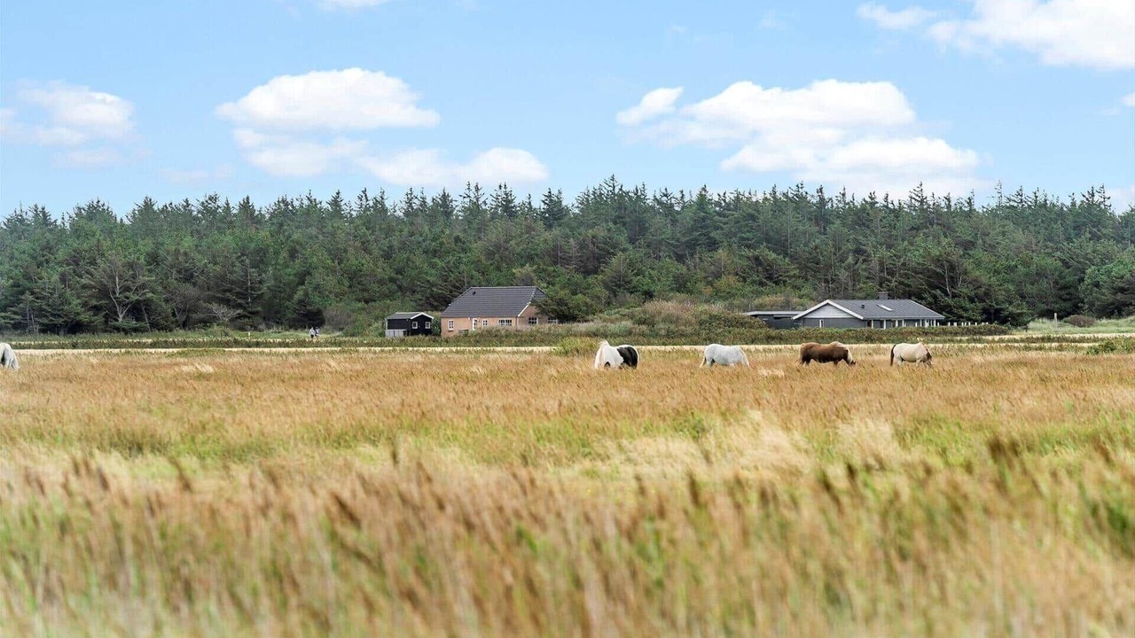 Photo of Others in Fjand Badeby