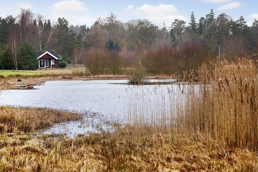 Photo of Outdoor in Øksenmølle