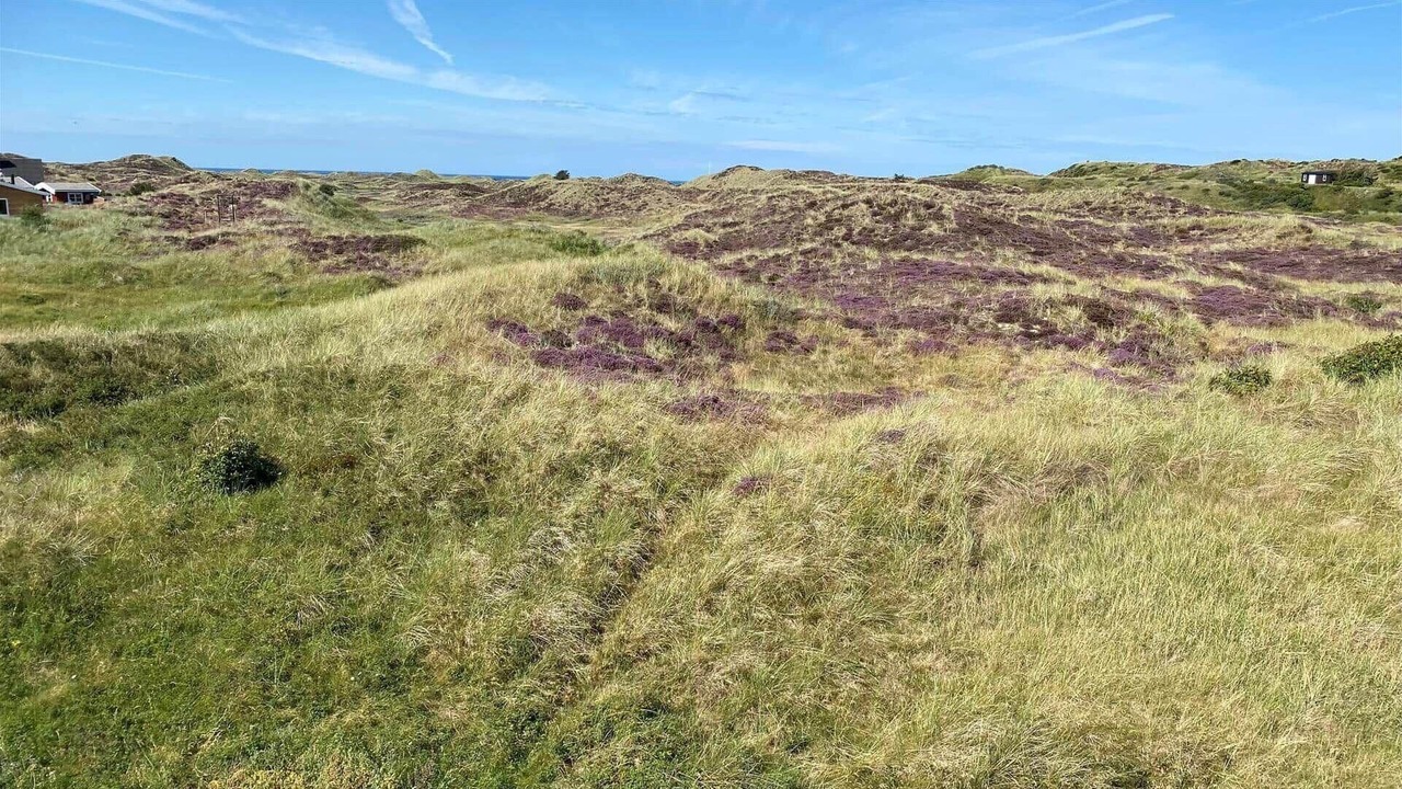 Photo of Others in Stenbjerg