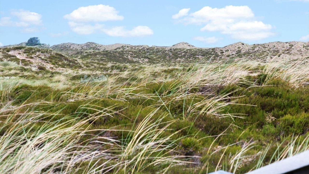 Photo of Others in Snedsted