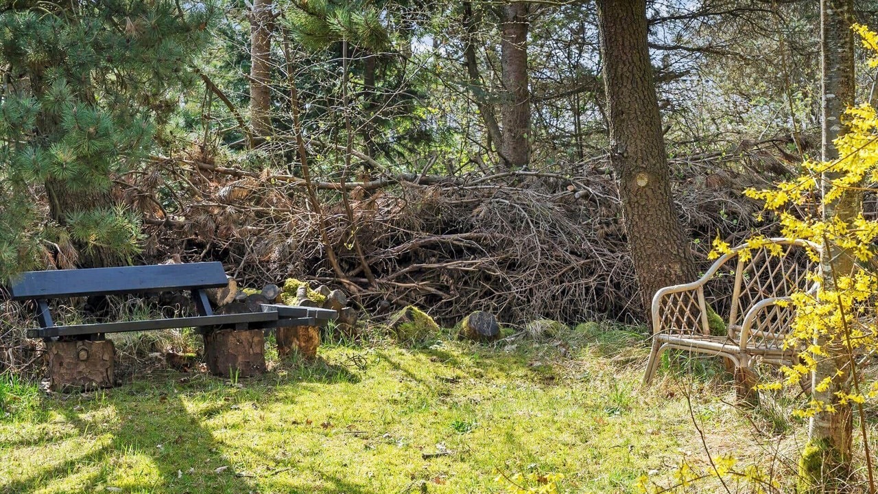 Photo of Outdoor in Sønder Vorupør