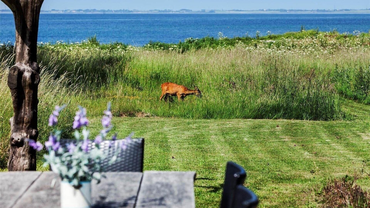 Photo of Outdoor in Reersø