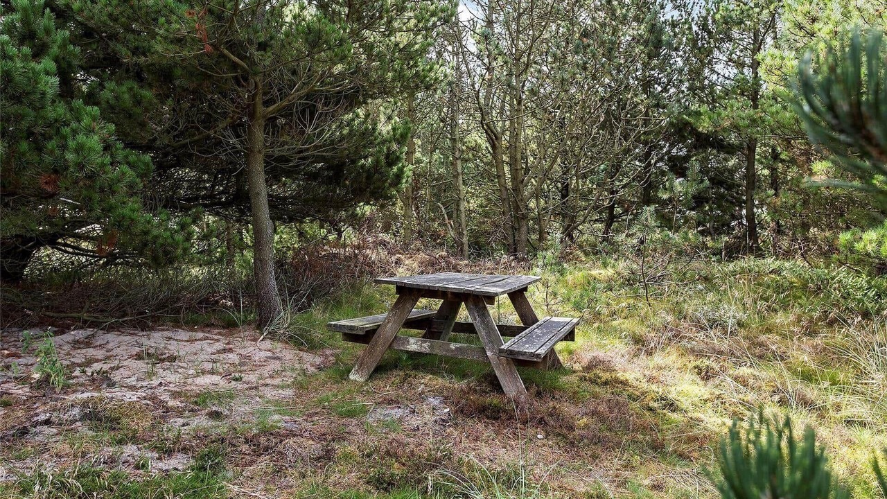 Photo of Outdoor in Sønder Vorupør
