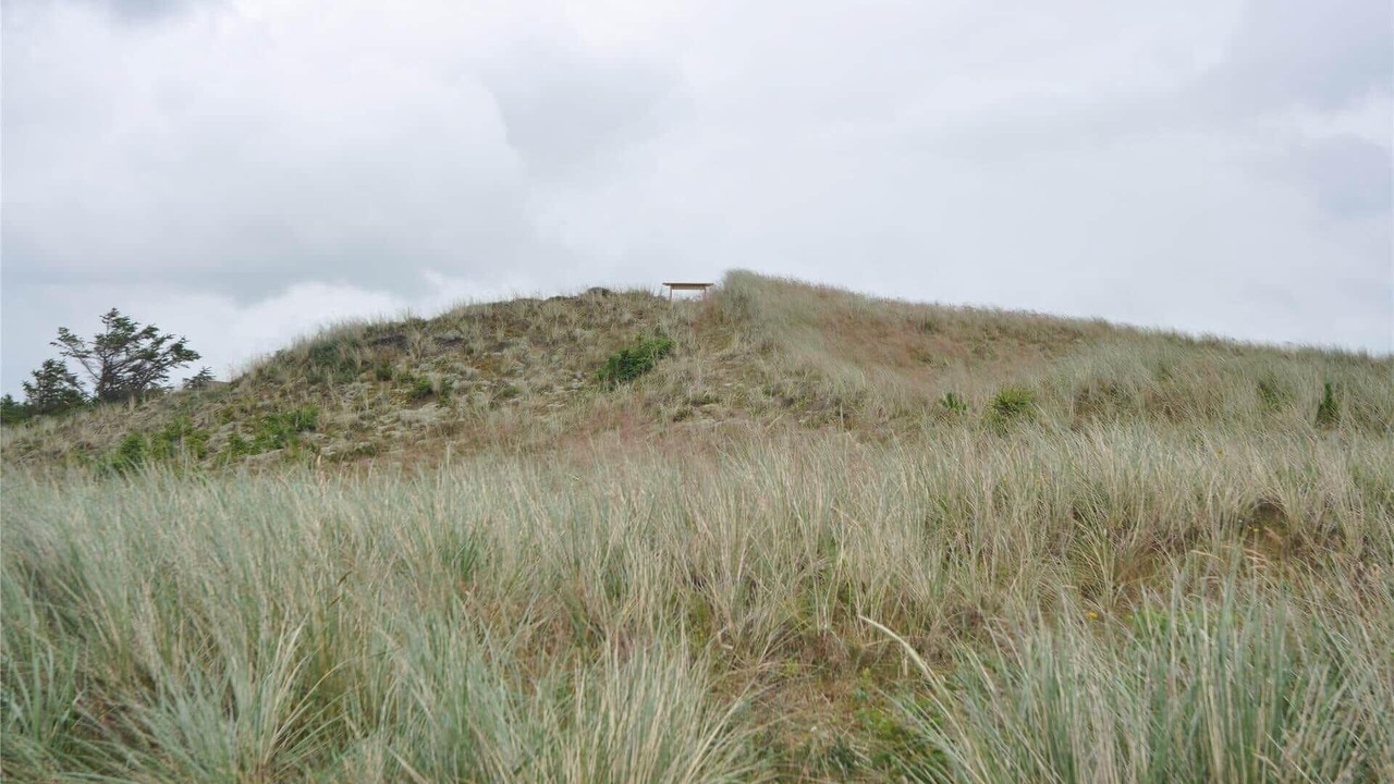 Photo of Others in Øhuse
