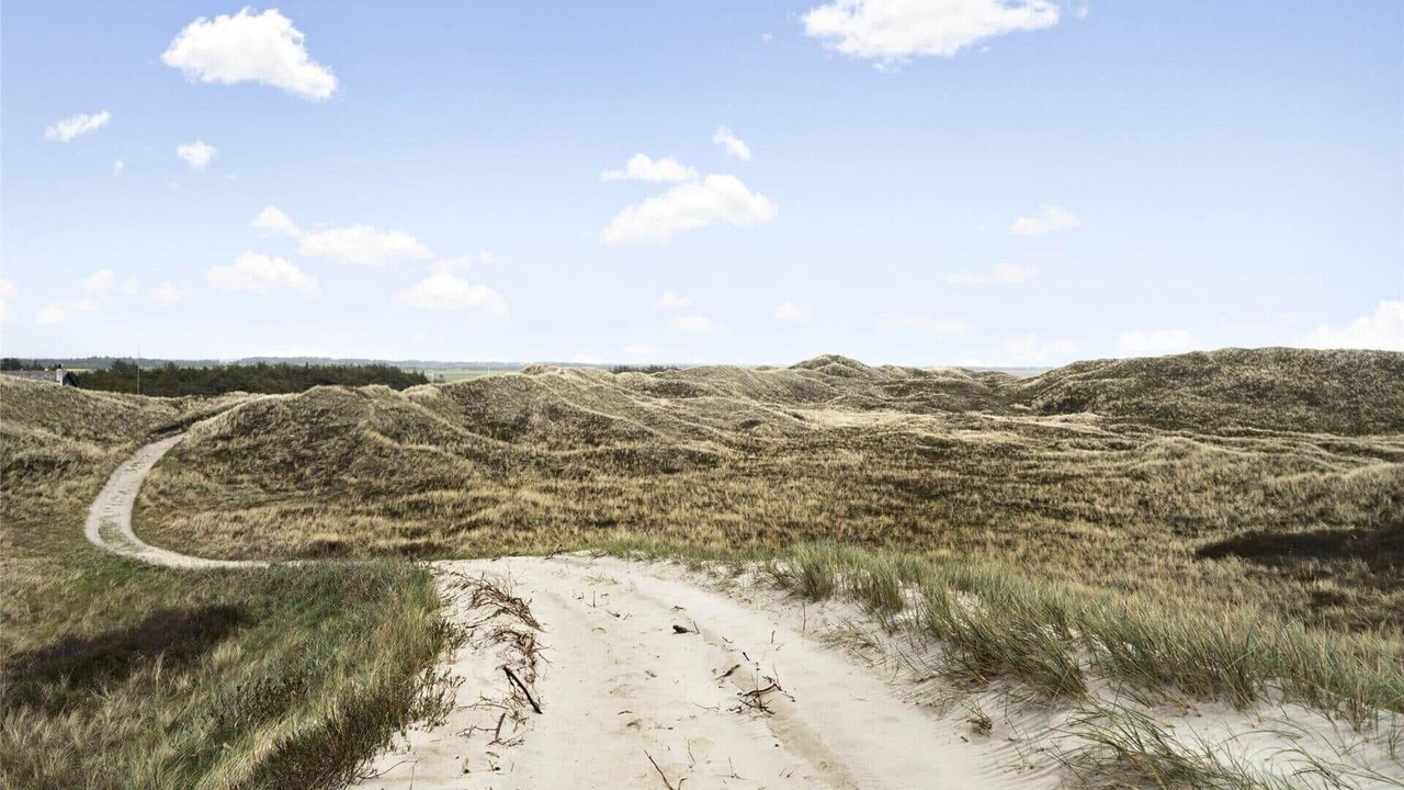 Photo of Others in Vedersø Klit