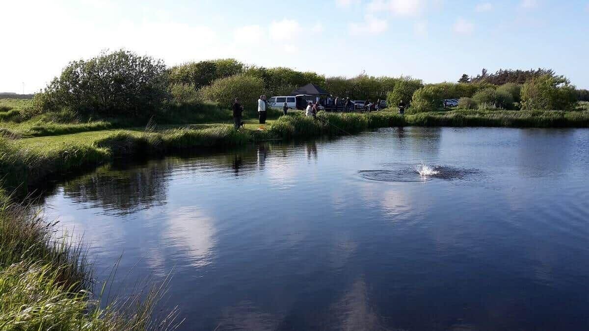 Photo of Others in Bøvlingbjerg