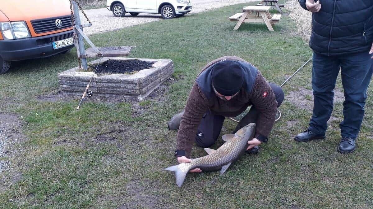 Photo of Others in Bøvlingbjerg