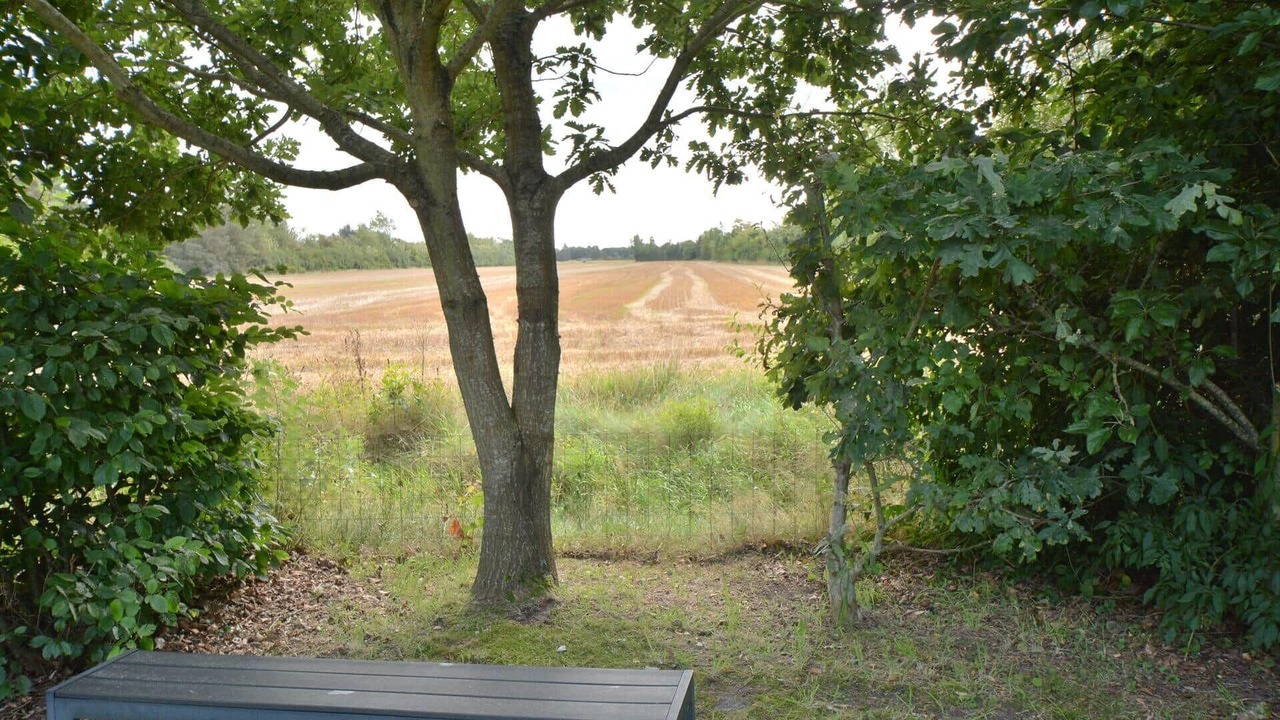 Photo of Outdoor in Sønder Nissum