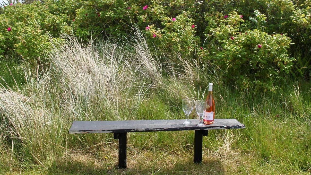 Photo of Outdoor in Vedersø Klit