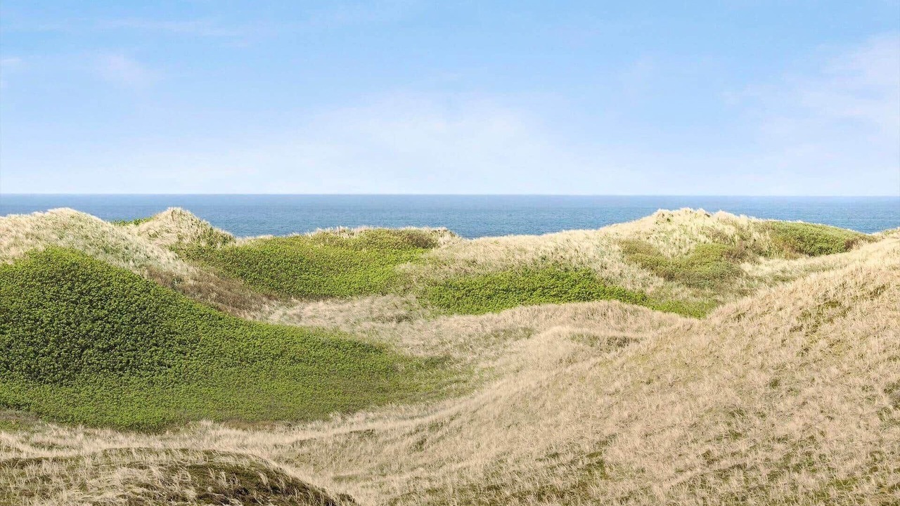 Photo of Others in Vedersø Klit