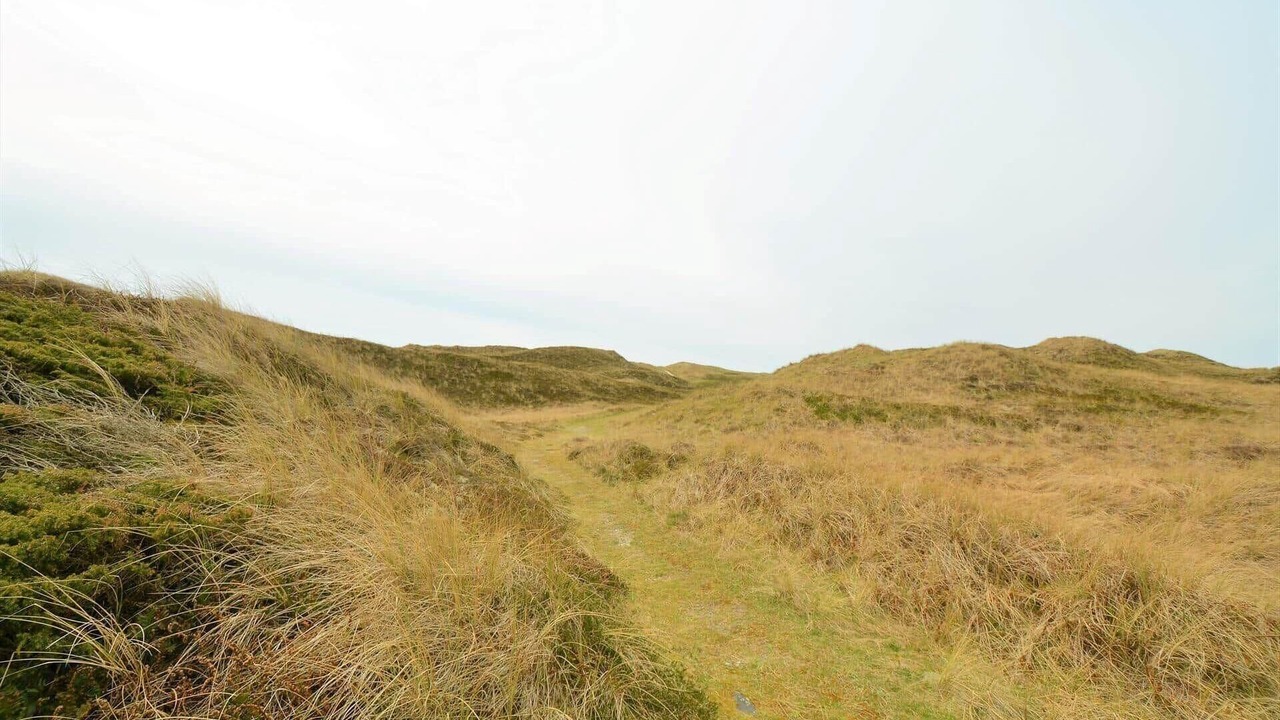 Photo of Others in Vedersø Klit