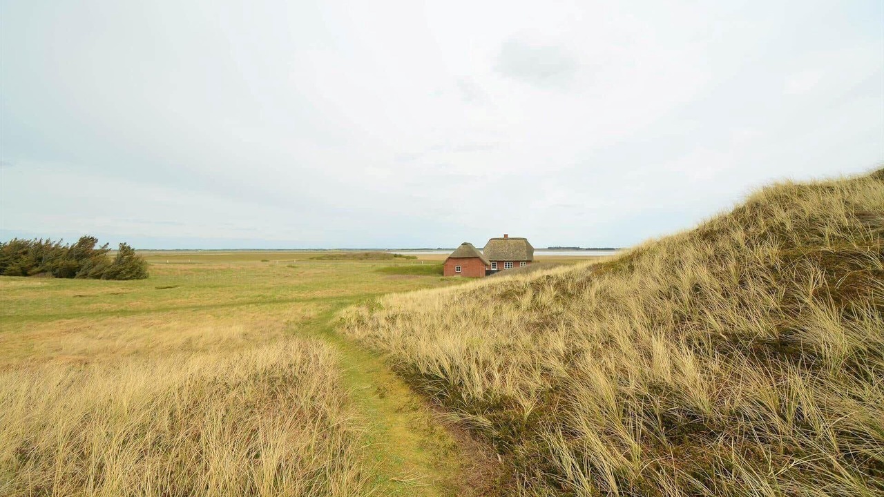 Photo of Others in Vedersø Klit