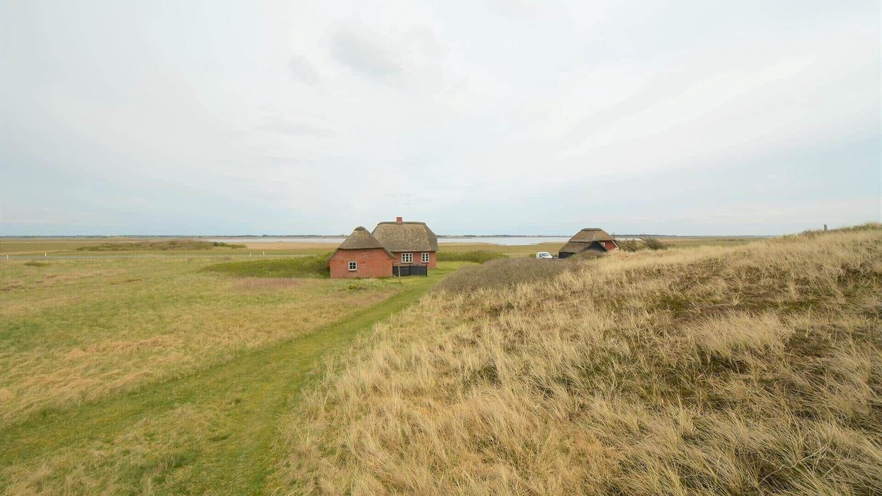 Photo of Outdoor in Vedersø Klit