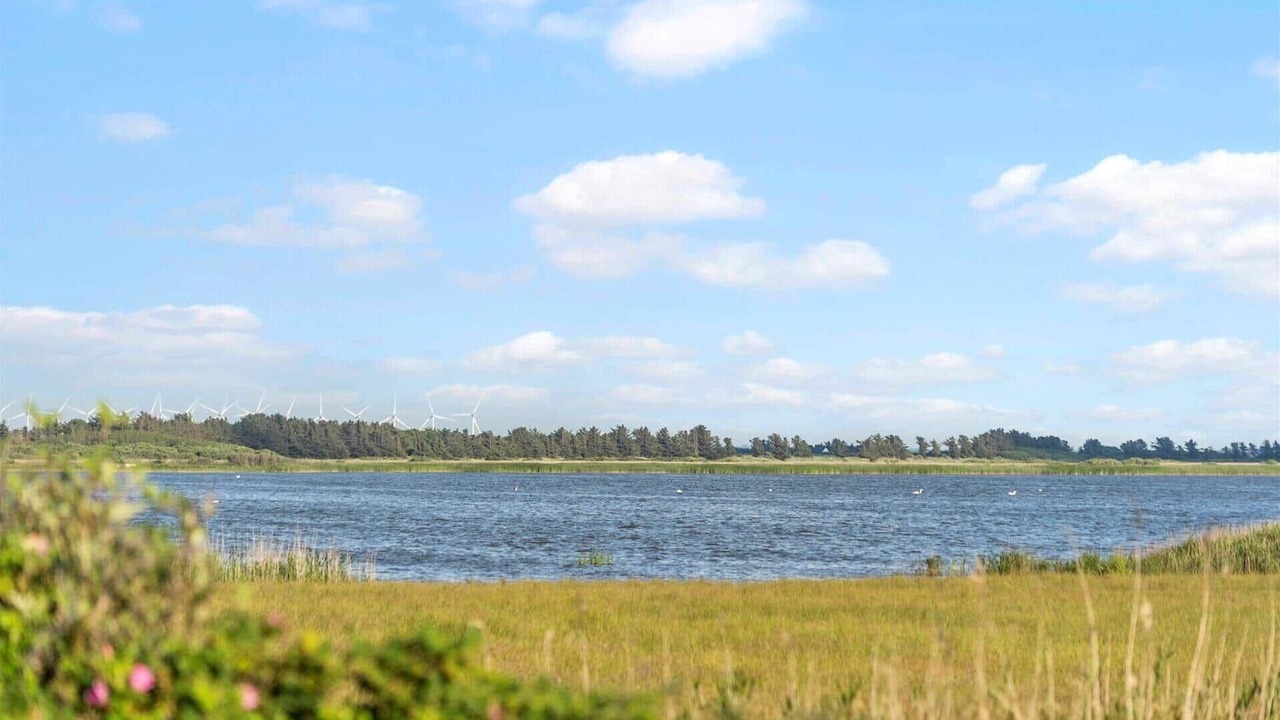 Photo of Others in Vedersø Klit