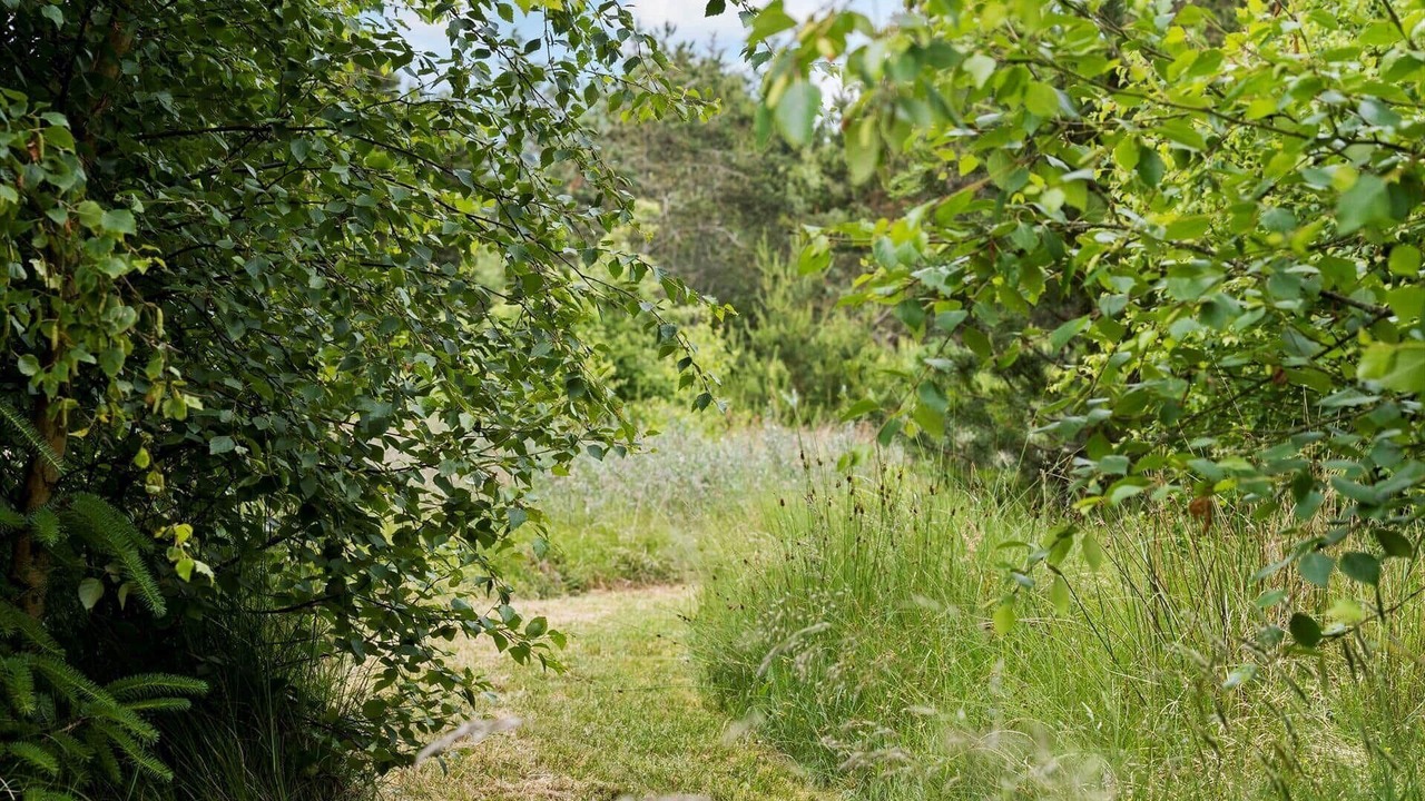 Photo of Others in Øhuse