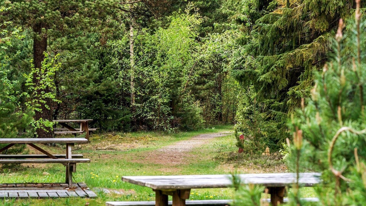 Photo of Outdoor in Sønder Nissum