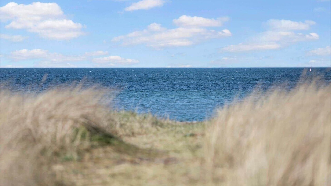 Photo of Others in Sklskr