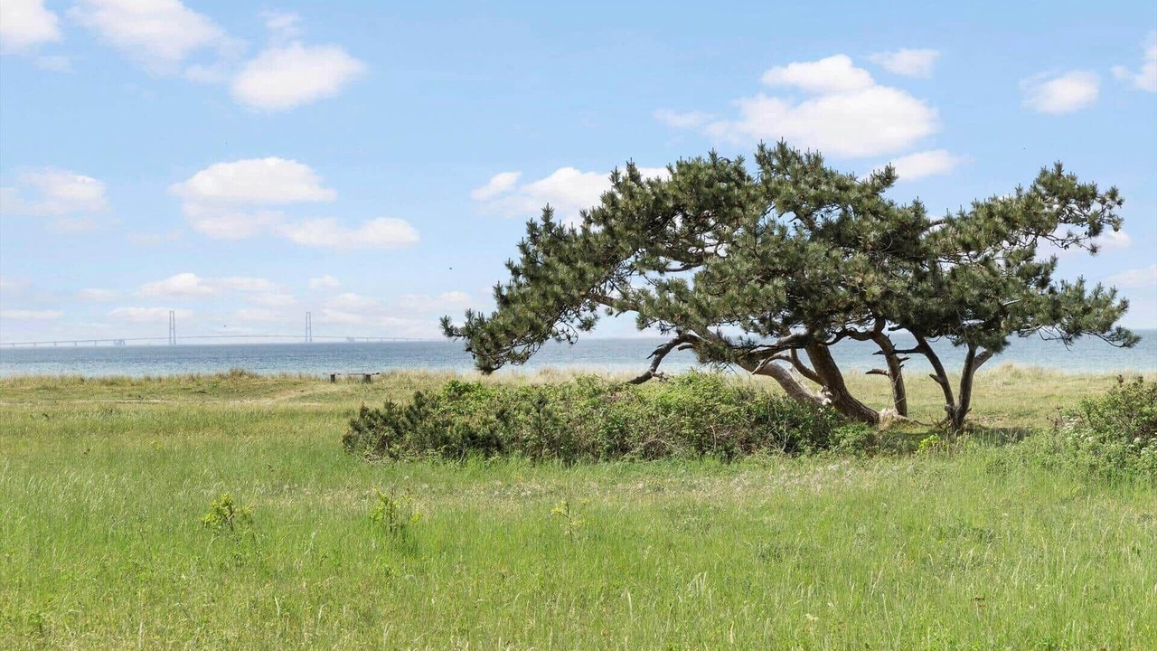 Photo of Others in Frolunde