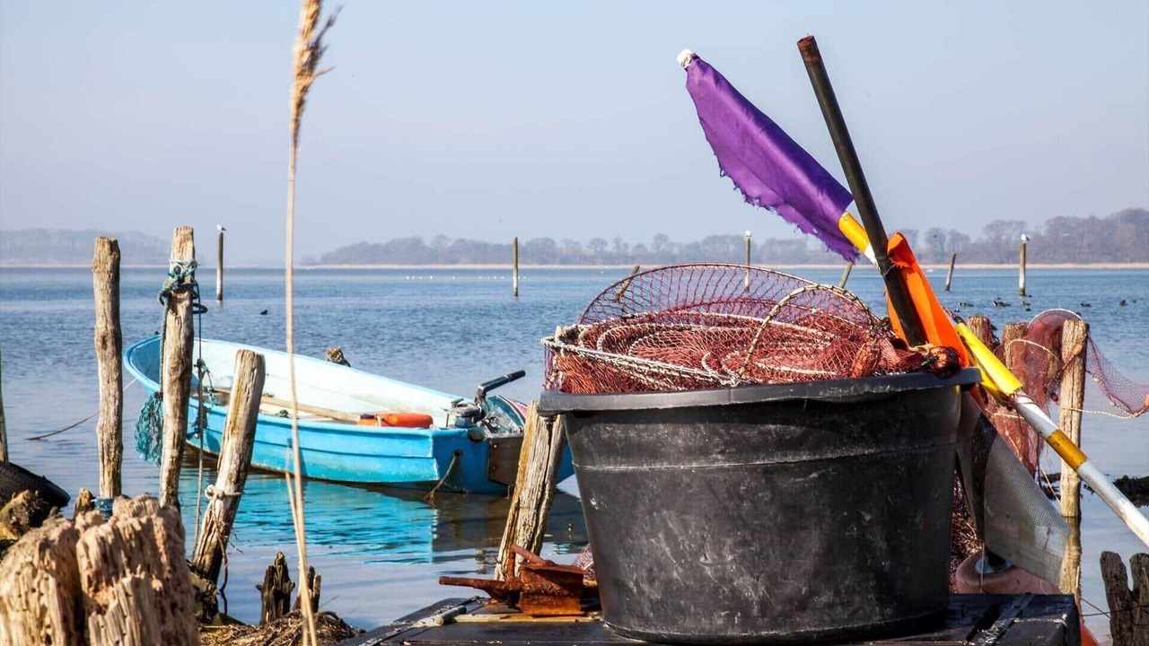 Photo of Others in Bisserup