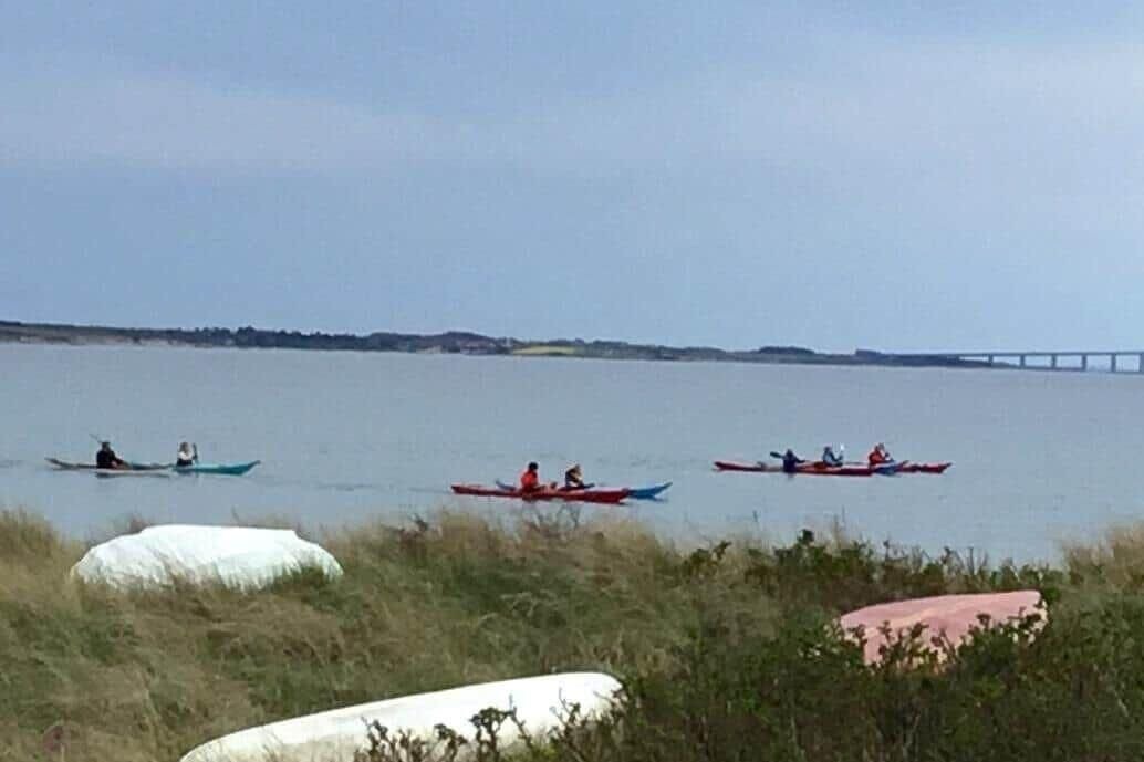 Photo of Others in Store Kongsmark