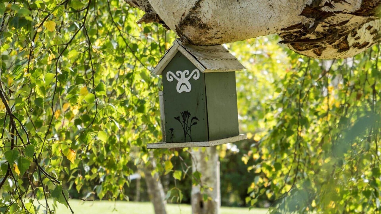 Photo of Others in Store Kongsmark