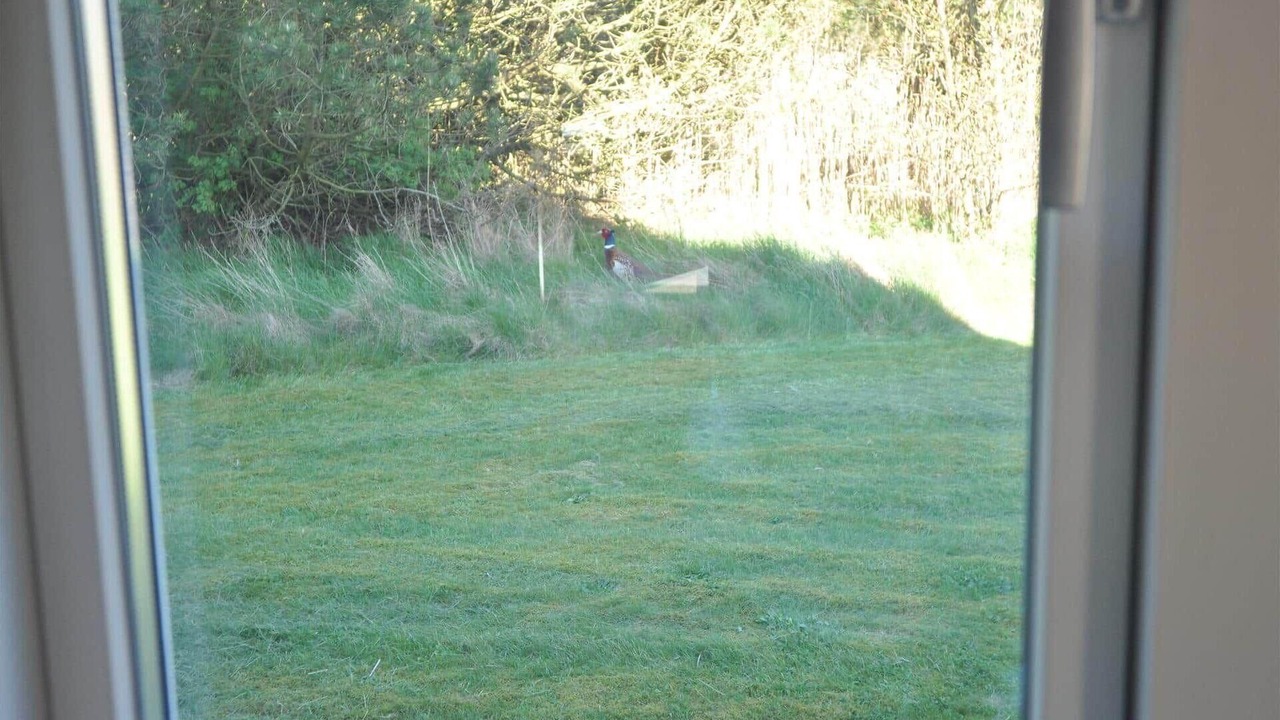Photo of Others in Øby