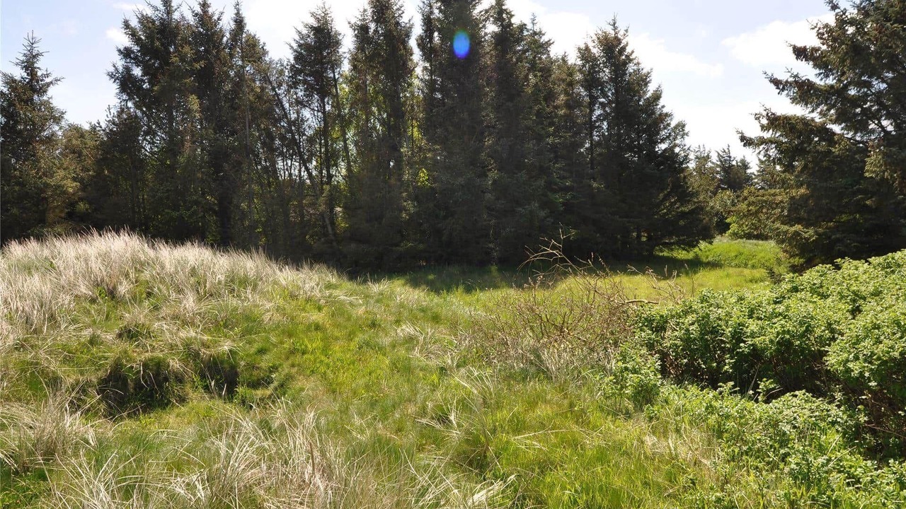 Photo of Others in Nørre Fjand