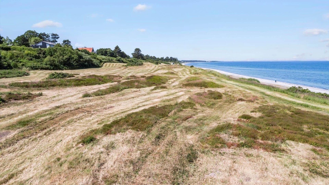 Photo of Others in Allingabro