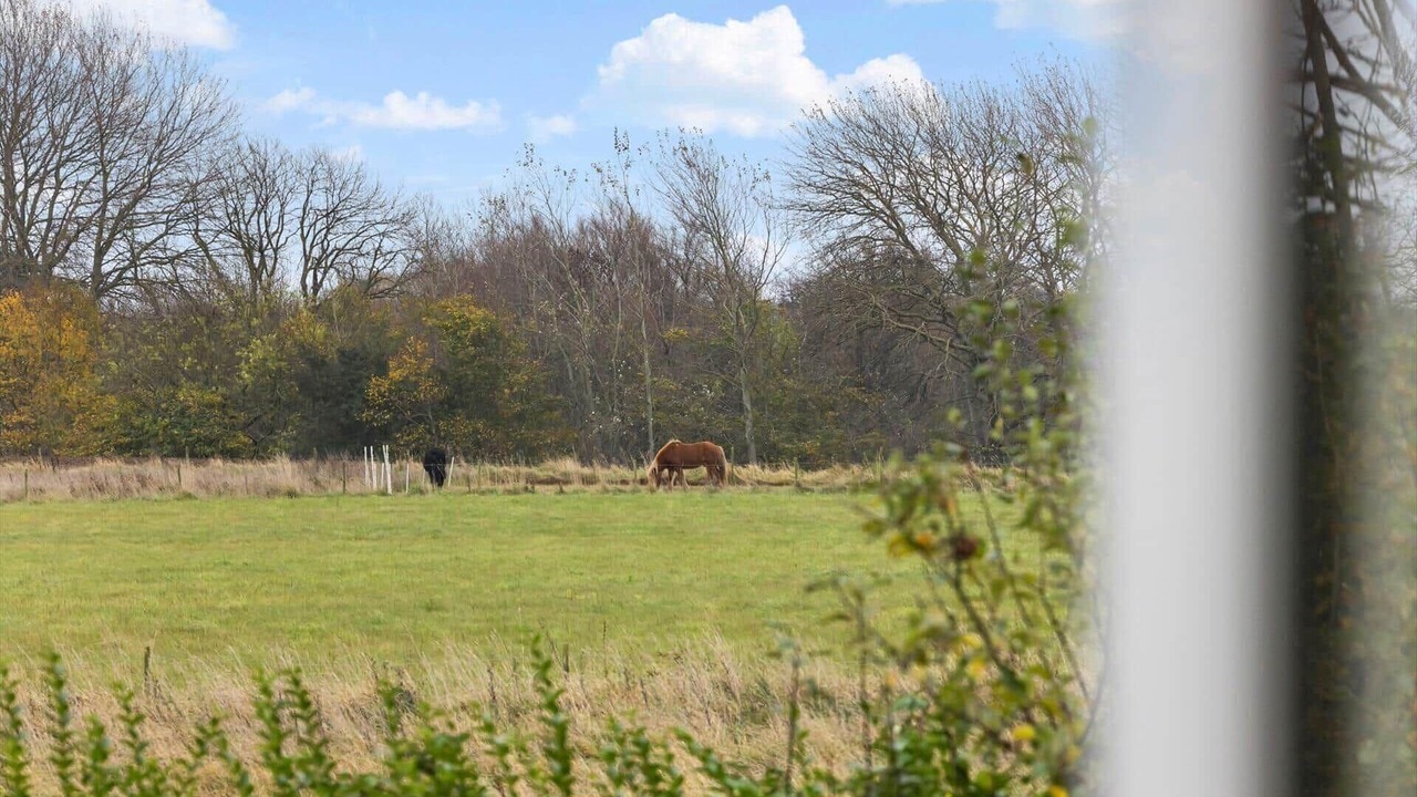 Photo of Others in Tranebjerg