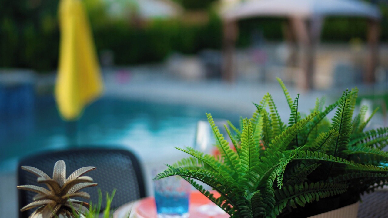 Photo of Outdoor in Desert Hot Springs