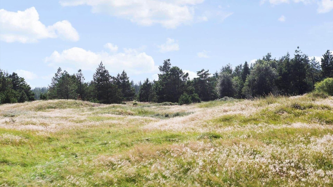 Photo of Others in Stenbjerg