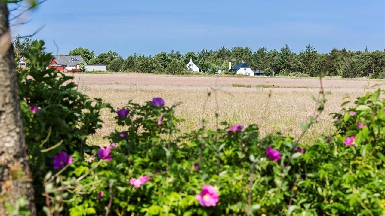 Photo of Others in Stenbjerg