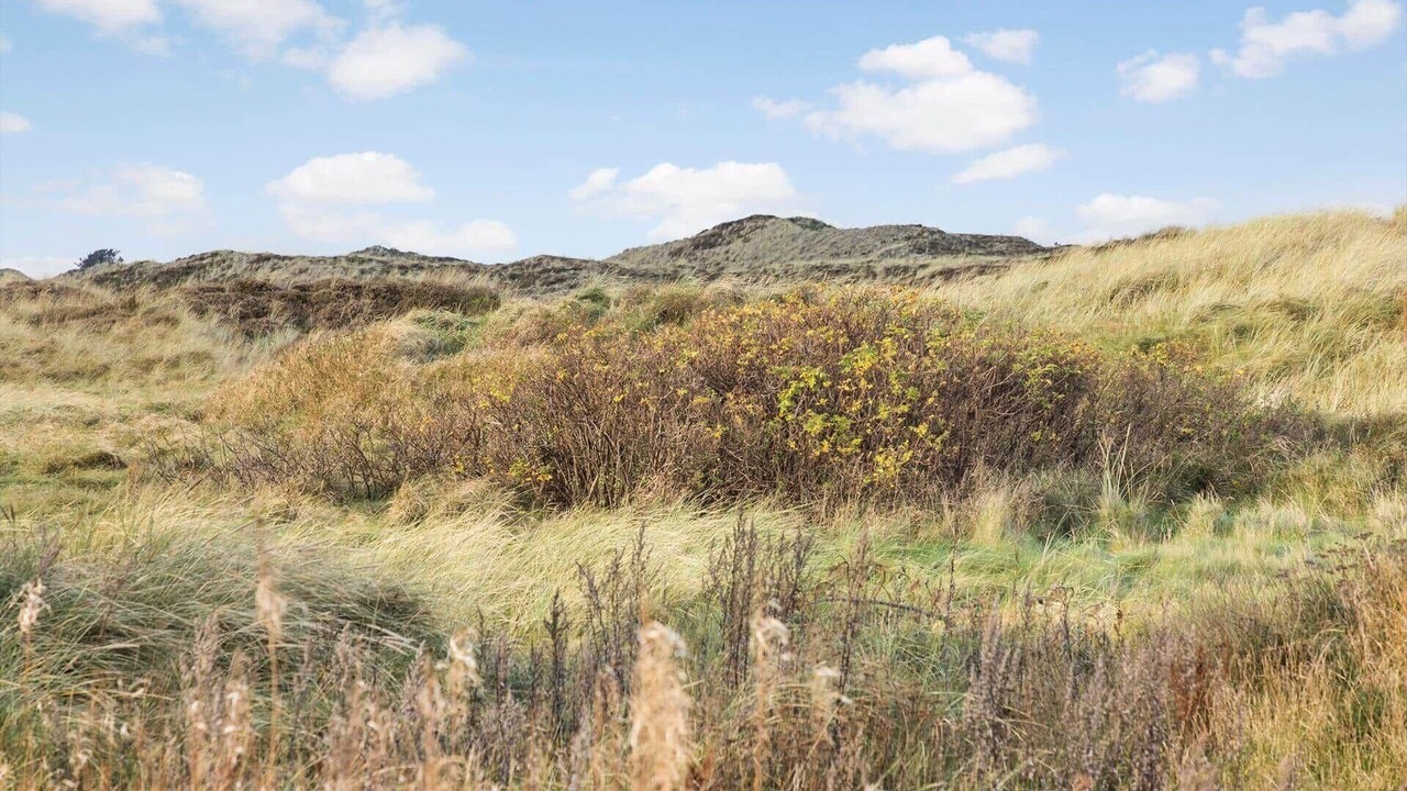 Photo of Others in Stenbjerg