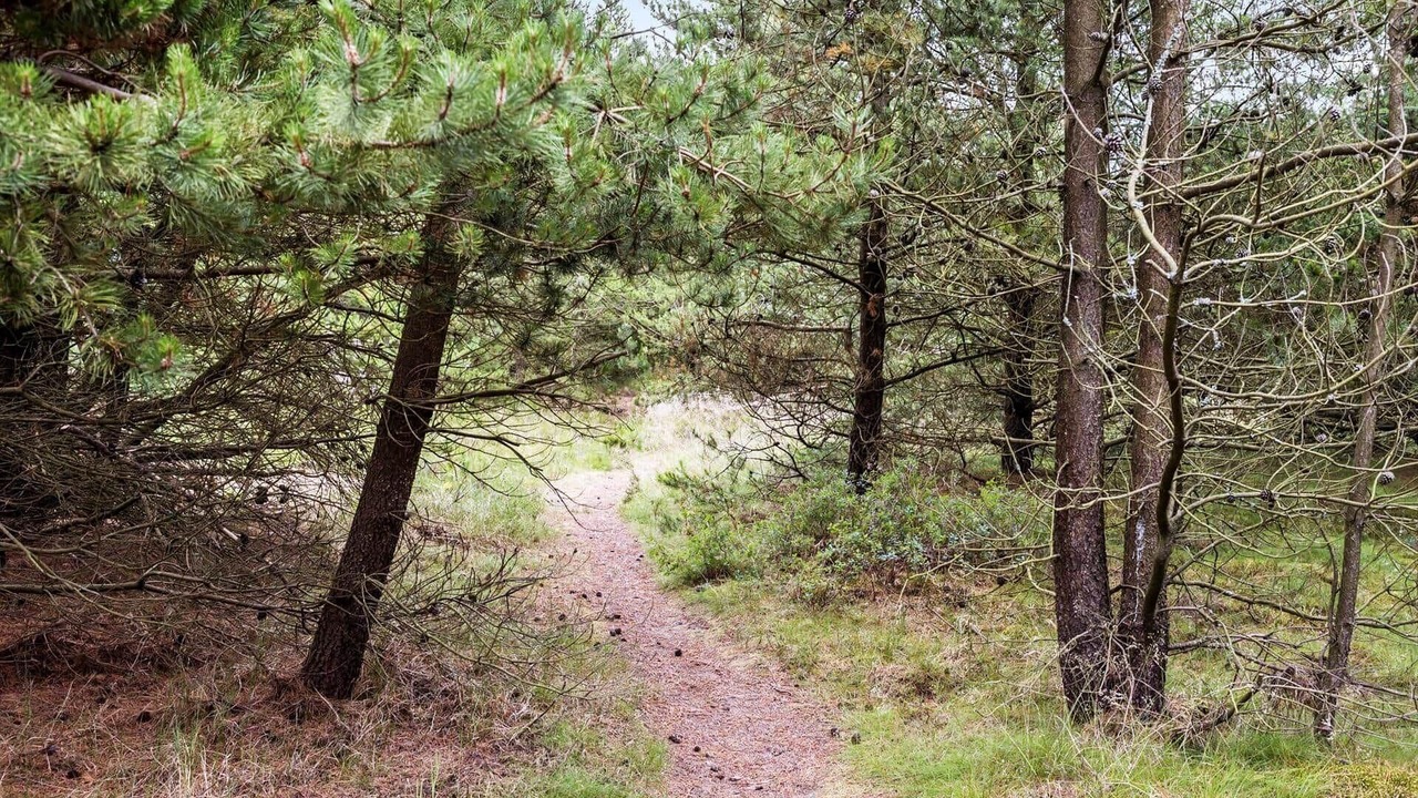 Photo of Others in Klitmoller
