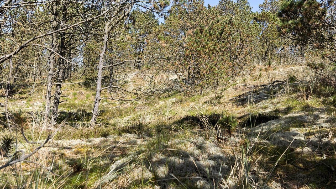 Photo of Others in Sønder Vorupør